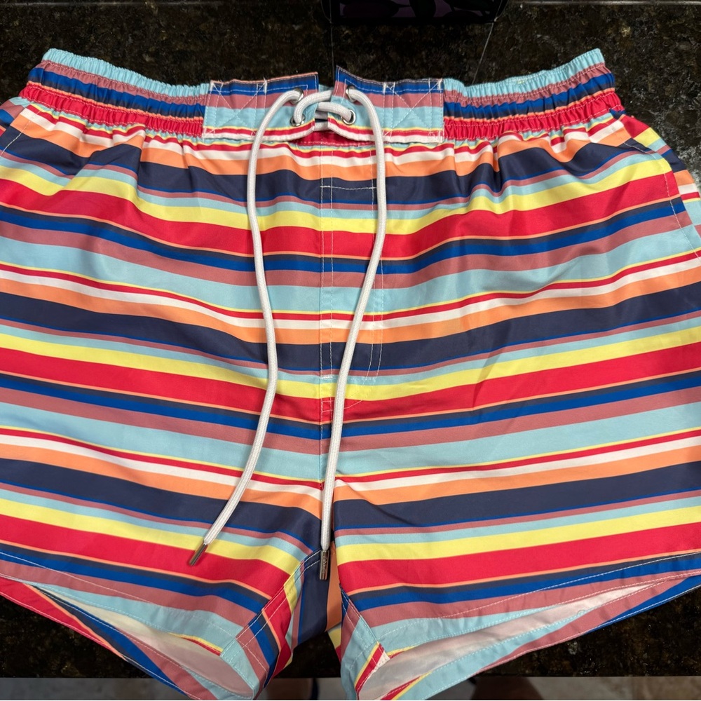 2xist Swim Colorful Striped Men's Shorts